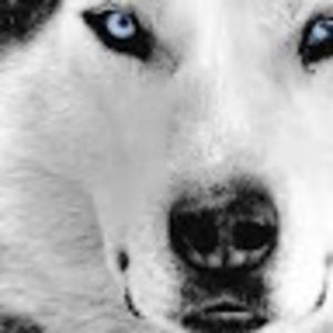 Meet your Posher, Alexander